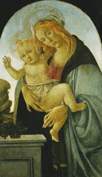 Canvas Print The Madonna and Child,