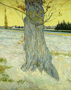 Canvas Print The Old Tree; Le Vieil If, 1888