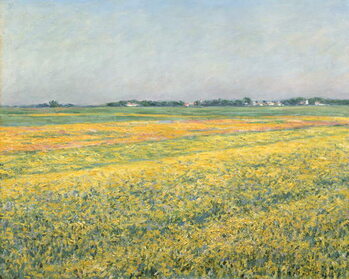 Canvas Print The Plain of Gennevilliers, Yellow Fields; La plaine de Gennevilliers, champs jaunes