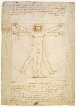 Canvas Print The Proportions of the human figure , c.1492