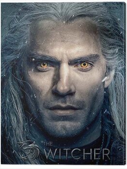 Canvas Print The Witcher - Stare