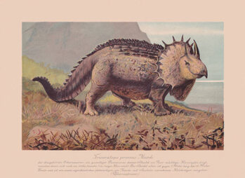Canvas Print Triceratops prorsus, chromolithograph, published in 1900