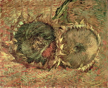 Canvas Print Two Cut Sunflowers, 1887