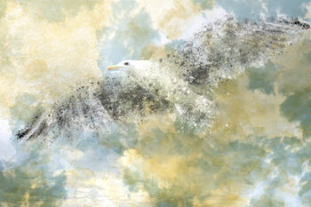 Canvas Print Vanishing Seagull