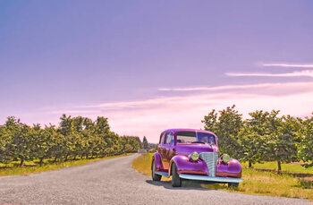 Canvas Print Vintage Car And Orchard