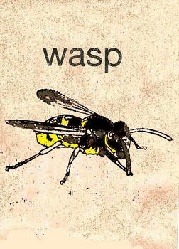 Canvas Print 'Wasp' 2014