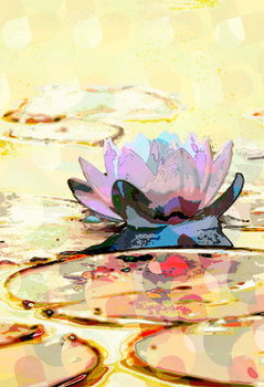 Canvas Print Water Lily