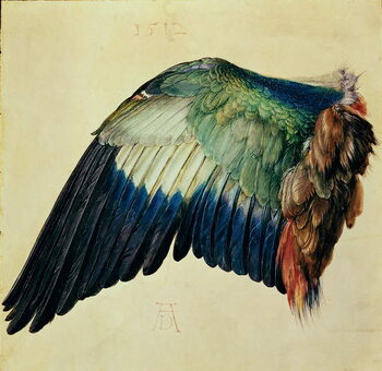 Canvas Print Wing of a Blue Roller, 1512