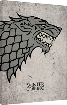 Game of Thrones - Stark Canvas Print