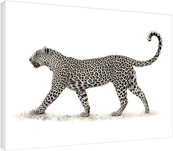 Mario Moreno - The Leopard Canvas Print