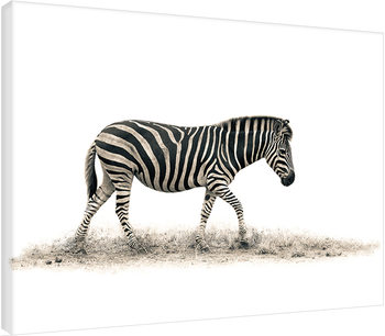 Mario Moreno - The Zebra Canvas Print