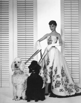 Canvas-taulu Audrey Hepburn