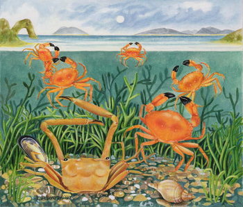 Canvas-taulu Crabs in the Ocean, 1997