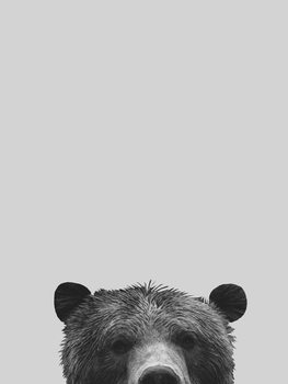 Canvas-taulu Grey bear