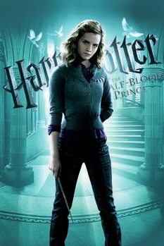 Canvas-taulu Harry Potter - Half blood prince