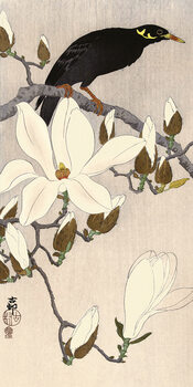 Canvas-taulu Ohara Koson - Myna on Magnolia Branch
