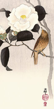 Canvas-taulu Ohara Koson - Songbird and Flowering Camellia