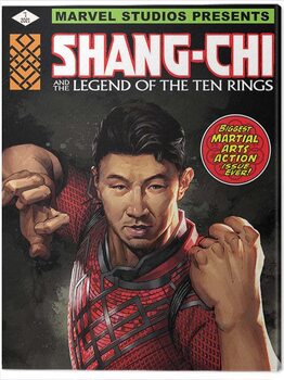 Canvas-taulu Shang Chi and the Legend of the Ten Rings