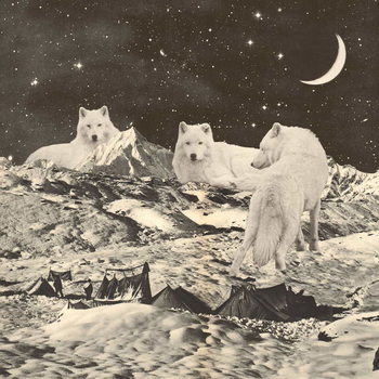 Canvas-taulu Three Giant White Wolves on Mountains