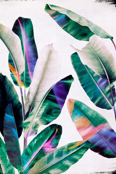 Canvas-taulu Tropical #1