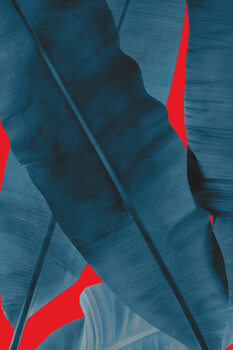 Canvas-taulu Tropical 3