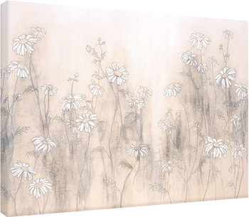 Hans Andkjaer - White Daisies Canvas-taulu