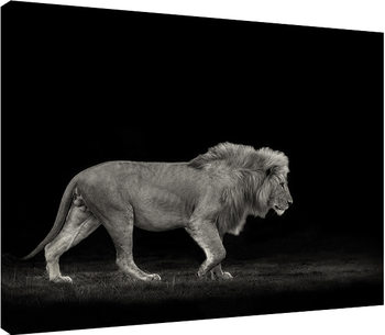 Mario Moreno - Majestic Canvas-taulu