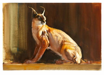Canvas-taulu Arabian Caracal, 2010