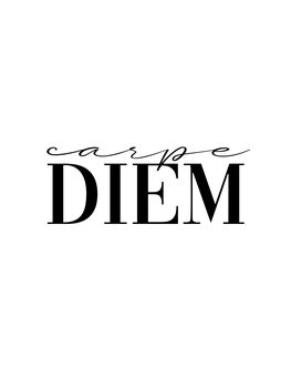 Canvas-taulu Carpe diem 2