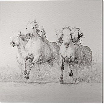 Canvas-taulu Carys Jones - Splash