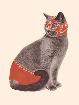 Canvas-taulu Cat Wrestler
