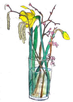 Canvas-taulu Daffodils