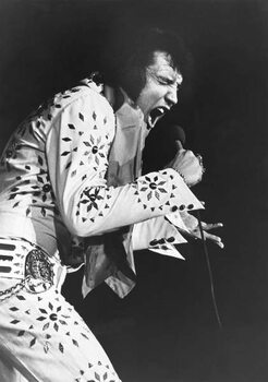 Canvas-taulu Elvis Presley