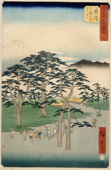 Canvas-taulu Fujisawa