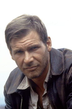 Canvas-taulu Harrison Ford