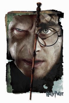 Canvas-taulu Harry Potter vs Voldemort