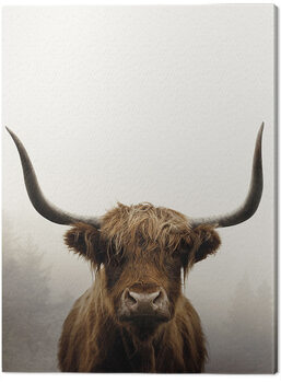 Canvas-taulu Ian Winstanley - Douglas