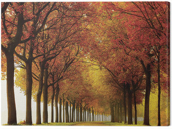 Canvas-taulu Lars Van De Goor - So Full