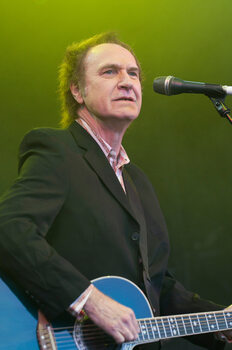 Canvas-taulu Ray Davies