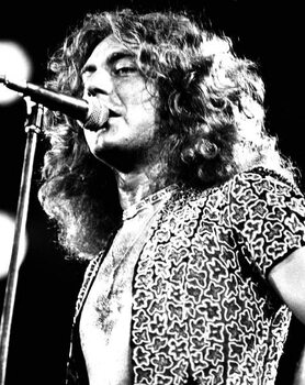 Canvas-taulu ROBERT PLANT