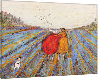 Canvas-taulu Sam Toft - A Day in Lavender