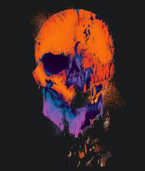 Canvas-taulu Skull