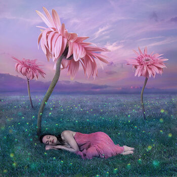 Canvas-taulu Sleeping in nature