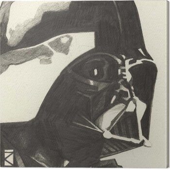 Canvas-taulu Star Wars - Darth Vader