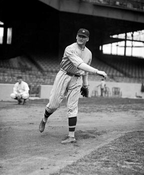 Canvas-taulu Walter Johnson