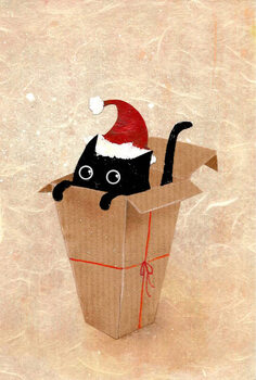 Μπλουζάκι Cat gift