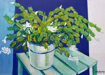 Принти на полотні Christmas Cactus,2000