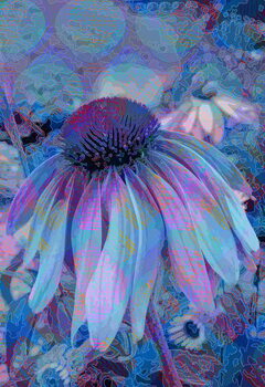 Принти на полотні Cone Flower