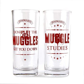 Copo Harry Potter - Muggles