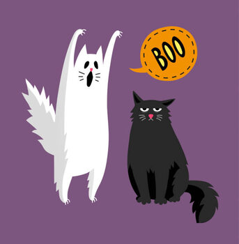 Autocolante Cute halloween ghost and black cat